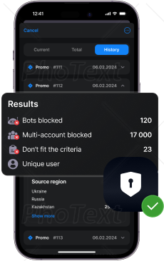 Anti-fraud system interface